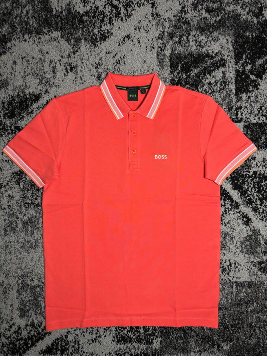 Paddy Coral