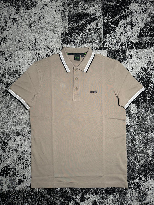 Paddy Taupe