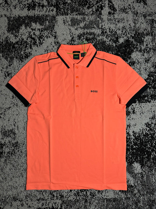 Paddy 1 Coral