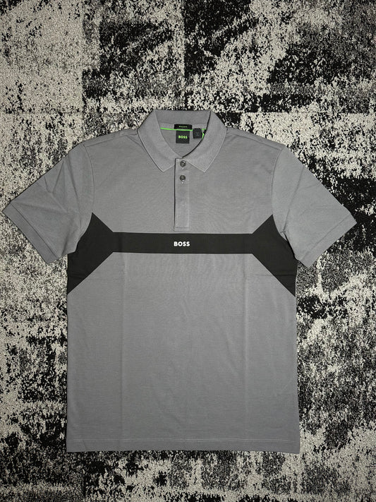 Paddy 2 NCSA Gray