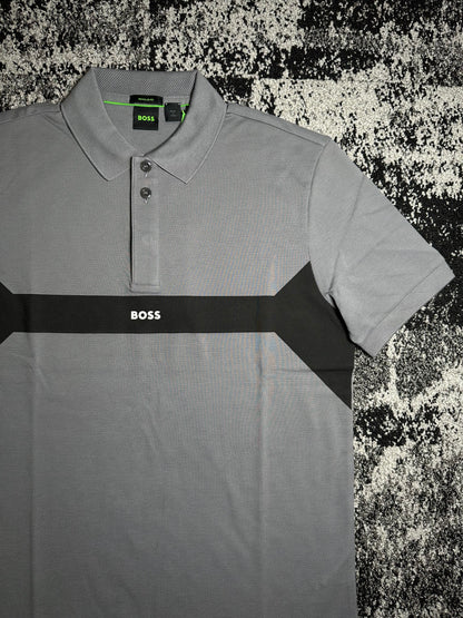 Paddy 2 NCSA Gray